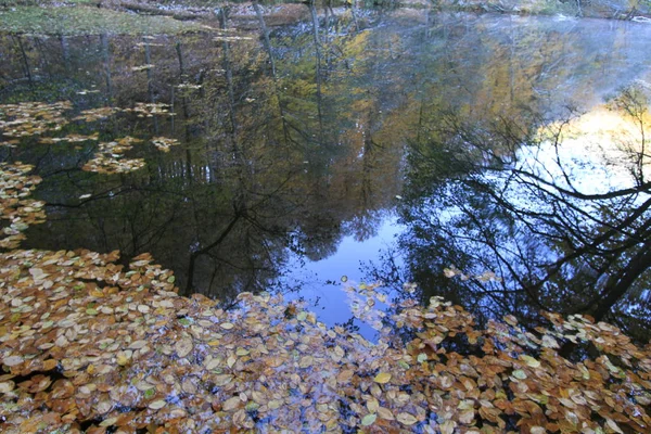 Yedigoller Nationalpark Blick Auf Den Herbst Bolu Türkei — Stockfoto