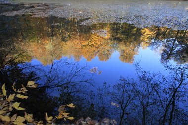 Yedigoller Ulusal Parkı, Sonbahar manzarası. Bolu, Türkiye