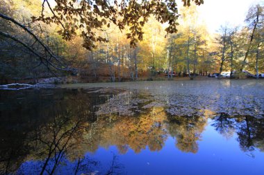 Yedigoller Ulusal Parkı, Sonbahar manzarası. Bolu, Türkiye