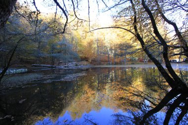 Yedigoller Ulusal Parkı, Sonbahar manzarası. Bolu, Türkiye