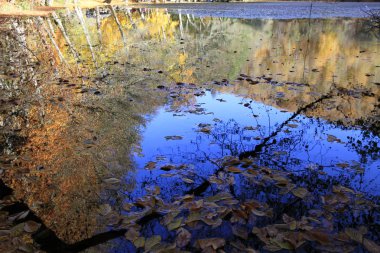 Yedigoller Ulusal Parkı, Sonbahar manzarası. Bolu, Türkiye