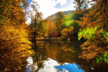 Yedigoller Ulusal Parkı, Sonbahar manzarası. Bolu, Türkiye