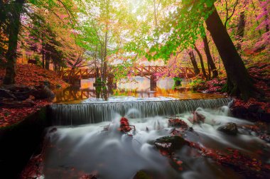 Yedigoller Ulusal Parkı, Sonbahar manzarası. Bolu, Türkiye