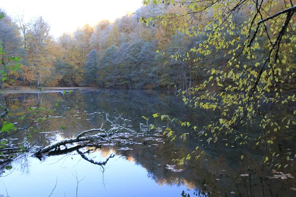 Parque Nacional Yedigoller Vistas Otoño Bolu Turquía —  Fotos de Stock