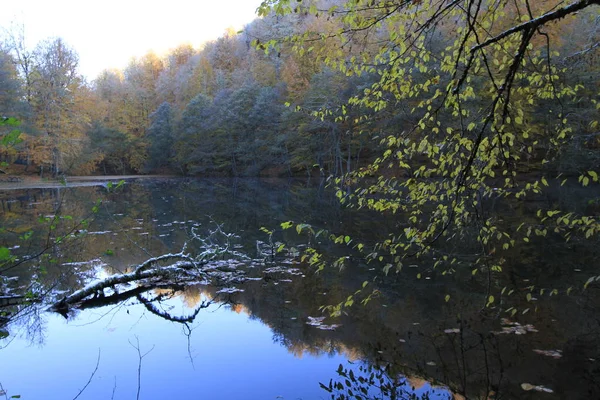 Yedigoller Nationalpark Efterårsudsigt Bolu Tyrkiet - Stock-foto