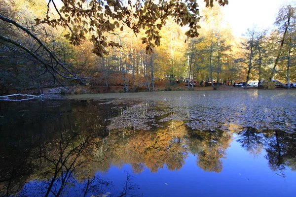 Национальный Парк Едигольер Осенний Вид Болу Турция — стоковое фото