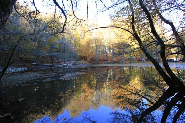 Yedigoller Nemzeti Park Őszi Panoráma Bolu Törökország — Stock Fotó