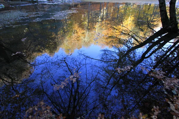Yedigoller Ulusal Parkı, Sonbahar manzarası. Bolu, Türkiye