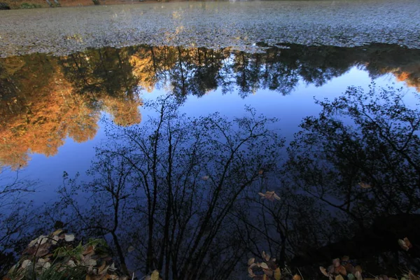 Yedigoller National Park Autumn Views Bolu Turkey — Stock Photo, Image