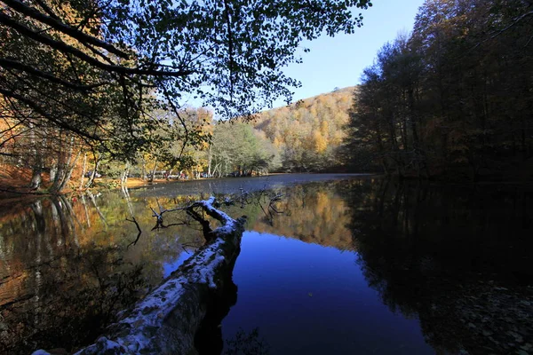 Yedigoller Nationalpark Höstutsikt Bolu Turkiet — Stockfoto