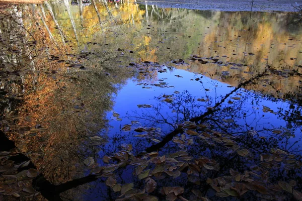 Yedigoller Ulusal Parkı, Sonbahar manzarası. Bolu, Türkiye