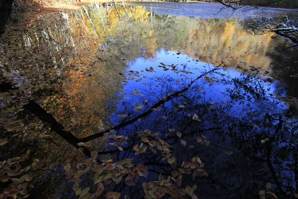 Yedigoller National Park Vista Para Outono Bolu Turquia — Fotografia de Stock