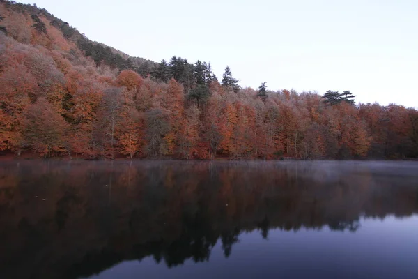 Parco Nazionale Yedigoller Vedute Autunnali Bolu Turchia — Foto Stock