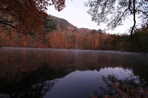 Yedigoller National Park Vista Para Outono Bolu Turquia — Fotografia de Stock