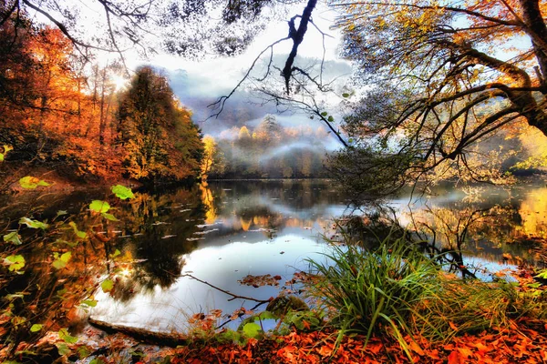 Park Narodowy Yedigoller Jesienne Widoki Bolu Turcja — Zdjęcie stockowe