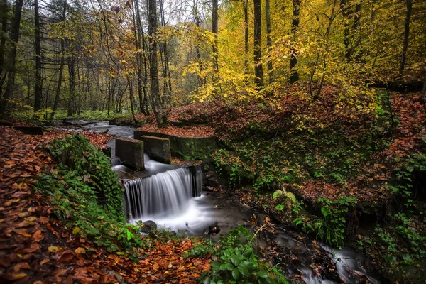 Národní Park Yedigoller Podzimní Výhledy Bolu Turecko — Stock fotografie