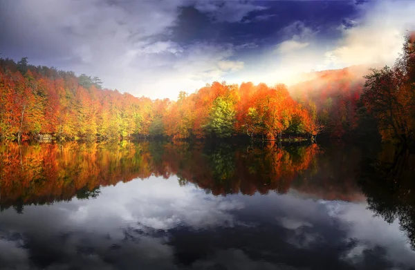 Yedigoller National Park Vista Para Outono Bolu Turquia — Fotografia de Stock