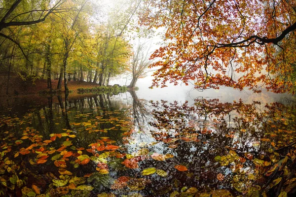 Yedigoller国家公园 秋天的风景 土耳其Bolu — 图库照片