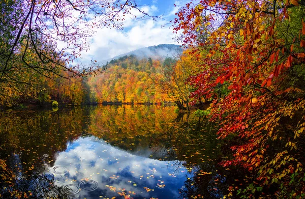 Yedigoller National Park Осінній Вид Болу Туреччина — стокове фото