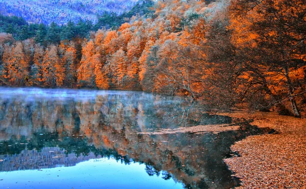 Yedigoller National Park Herfst Uitzicht Bolu Turkije — Stockfoto
