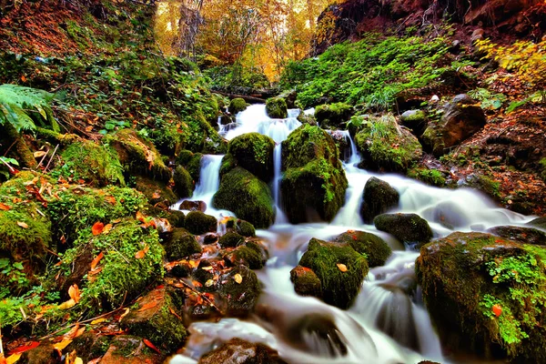 Yedigoller National Park Autumn Views Bolu Turkey — Stock Photo, Image