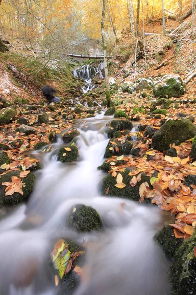 Sedm Krůt Krajiny — Stock fotografie