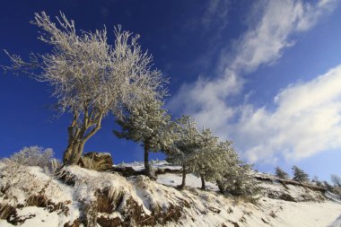 Uludağ ve manzara / Bursa 