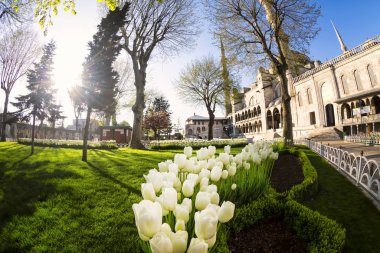 Sultanahmet ve Aya spohia 