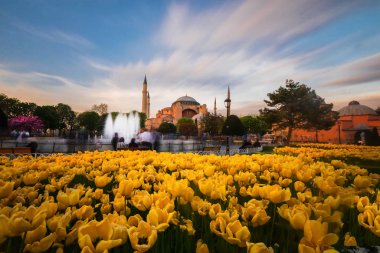Sultanahmet ve Aya spohia 