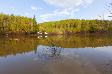 Bozcaarmut Gölü Bilecik ve Türkiye