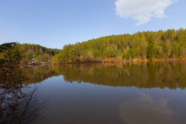 Bozcaarmut Gölü Bilecik ve Türkiye