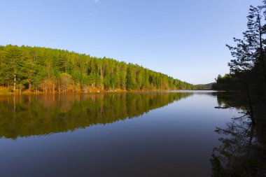 Bozcaarmut Gölü Bilecik ve Türkiye