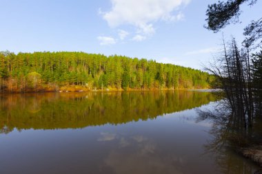 Bozcaarmut Gölü Bilecik ve Türkiye