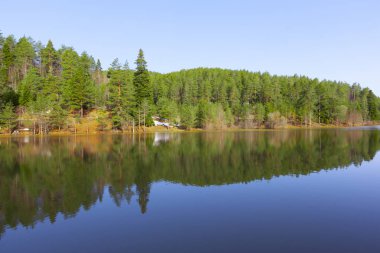 Bozcaarmut Gölü Bilecik ve Türkiye