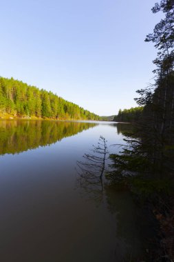 Bozcaarmut Gölü Bilecik ve Türkiye
