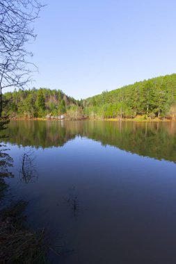 Bozcaarmut Gölü Bilecik ve Türkiye