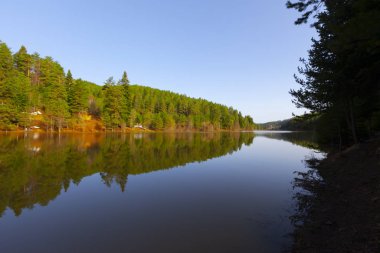 Bozcaarmut Gölü Bilecik ve Türkiye