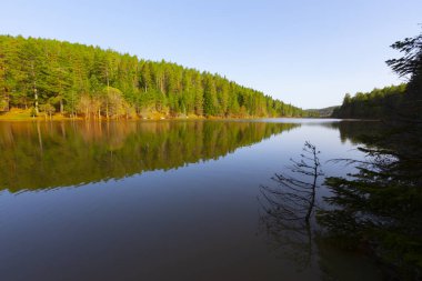 Bozcaarmut Gölü Bilecik ve Türkiye
