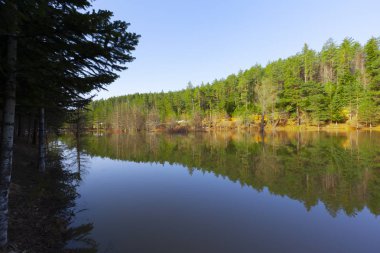 Bozcaarmut Gölü Bilecik ve Türkiye