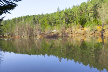 Bozcaarmut Gölü Bilecik ve Türkiye
