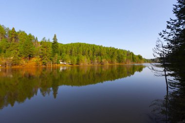 Bozcaarmut Gölü Bilecik ve Türkiye