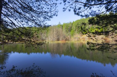 Bozcaarmut Gölü Bilecik ve Türkiye