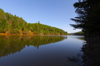 Bozcaarmut Gölü Bilecik ve Türkiye