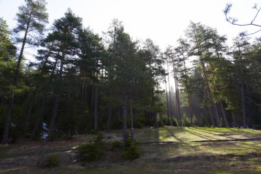 Bozcaarmut Gölü Bilecik ve Türkiye