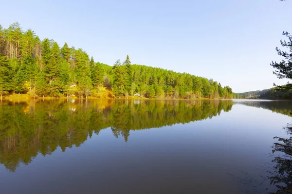 Bozcaarmut Gölü Bilecik ve Türkiye