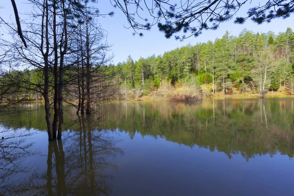 Bozcaarmut Gölü Bilecik ve Türkiye