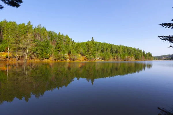 Bozcaarmut Gölü Bilecik ve Türkiye