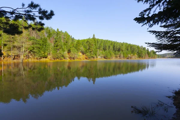 Bozcaarmut Gölü Bilecik ve Türkiye