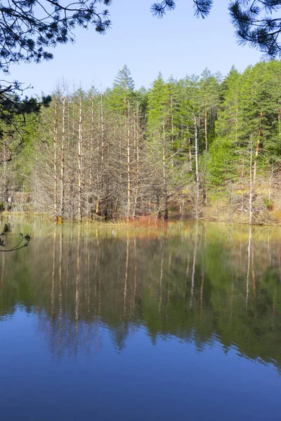 Bozcaarmut Gölü Bilecik ve Türkiye