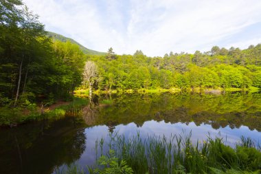 Dipsiz Yalova Gölü, Çınarcık, Yalova, Türkiye